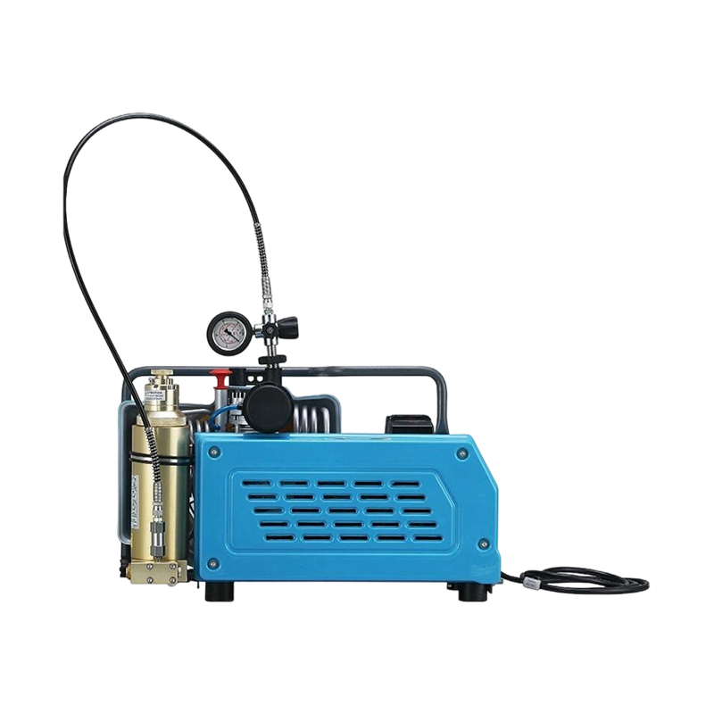 Air filling pump (100L, 220V)